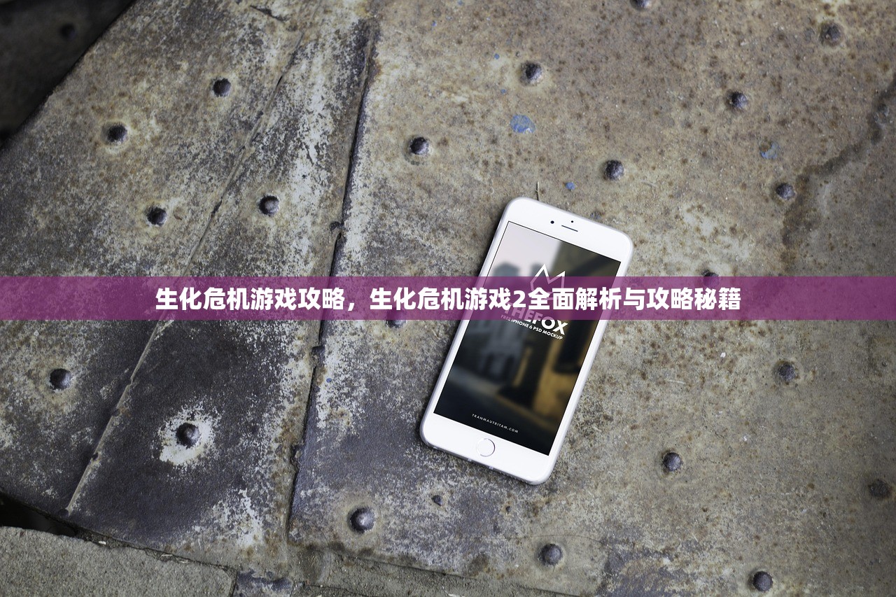 生化危机游戏攻略，生化危机游戏2全面解析与攻略秘籍