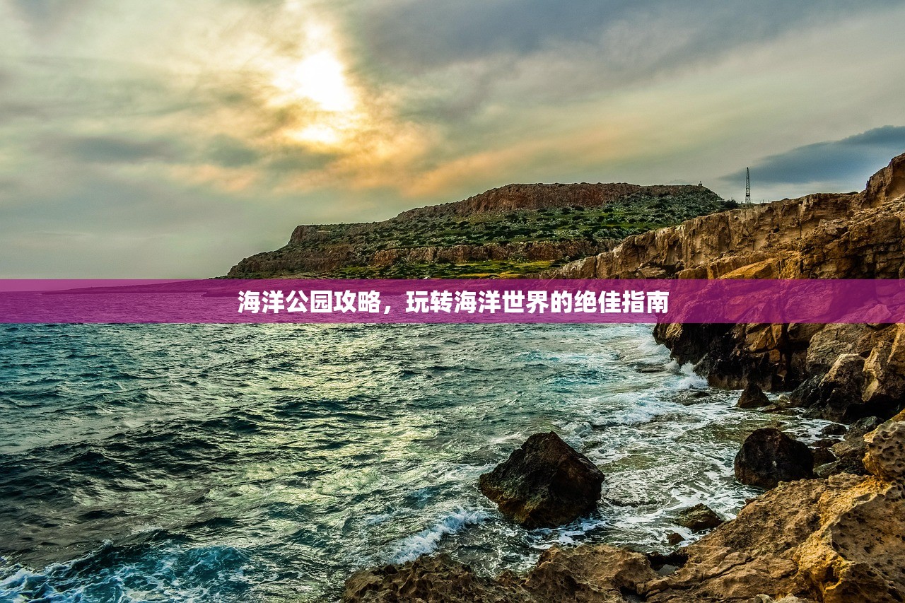 海洋公园攻略，玩转海洋世界的绝佳指南