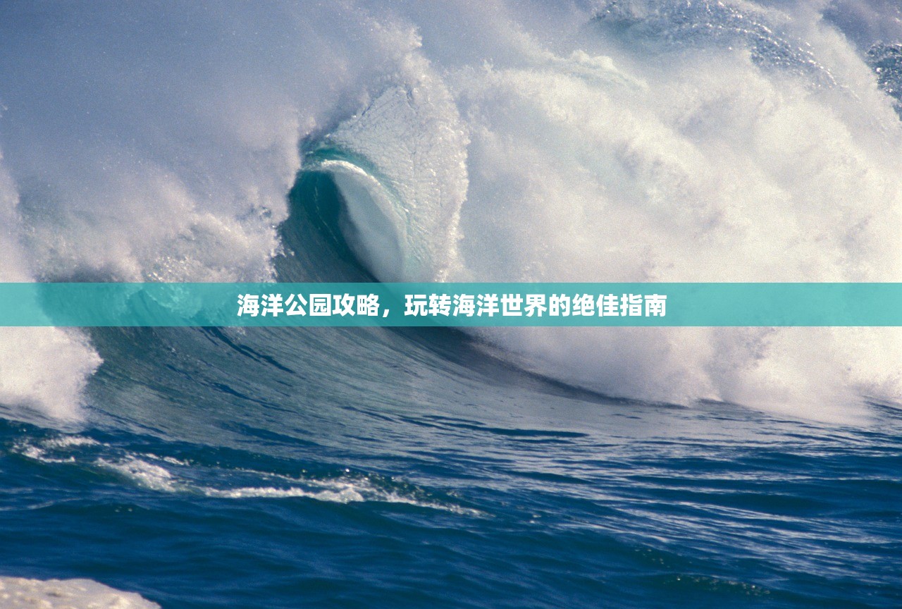 海洋公园攻略，玩转海洋世界的绝佳指南