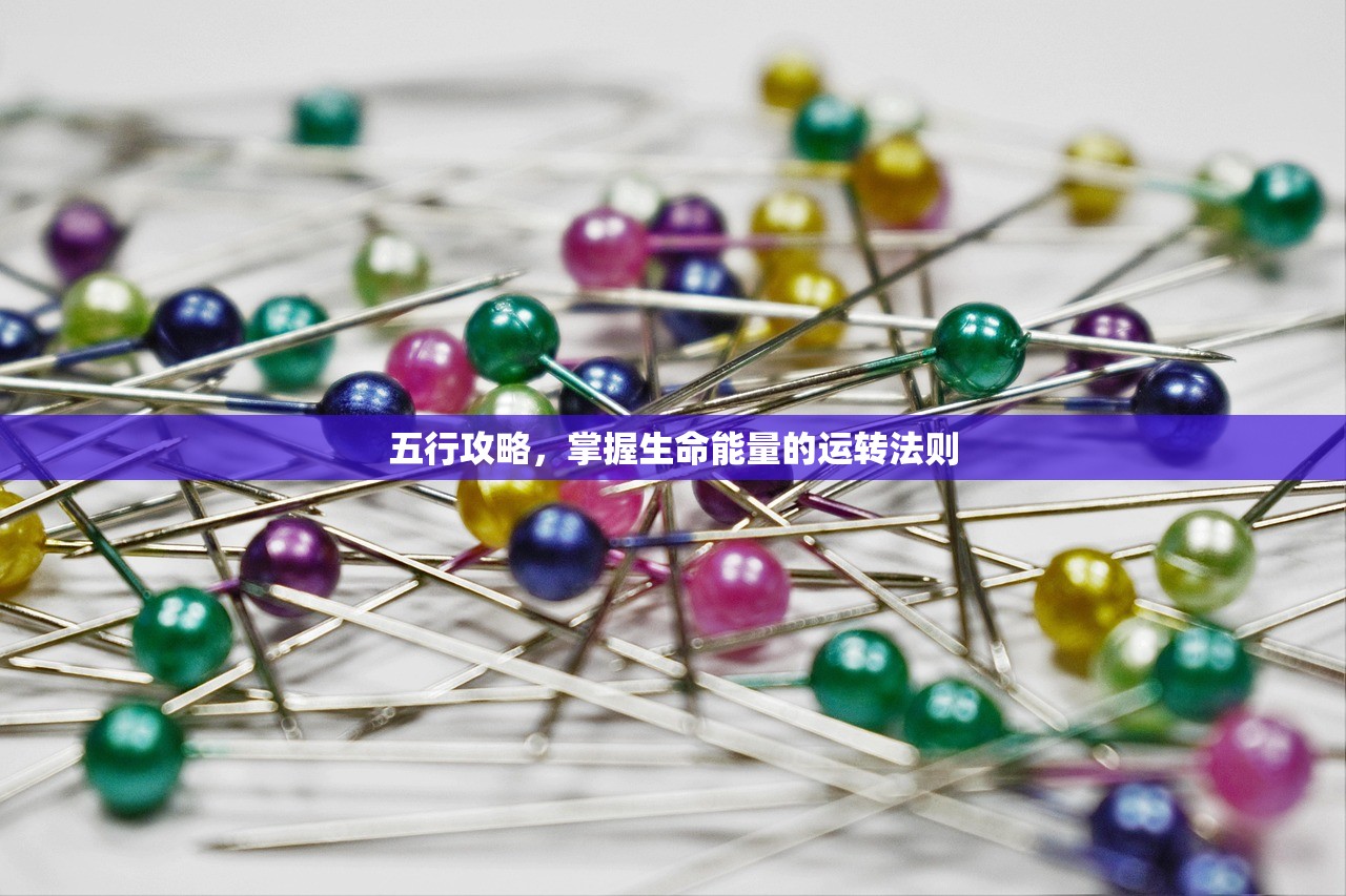 五行攻略，掌握生命能量的运转法则