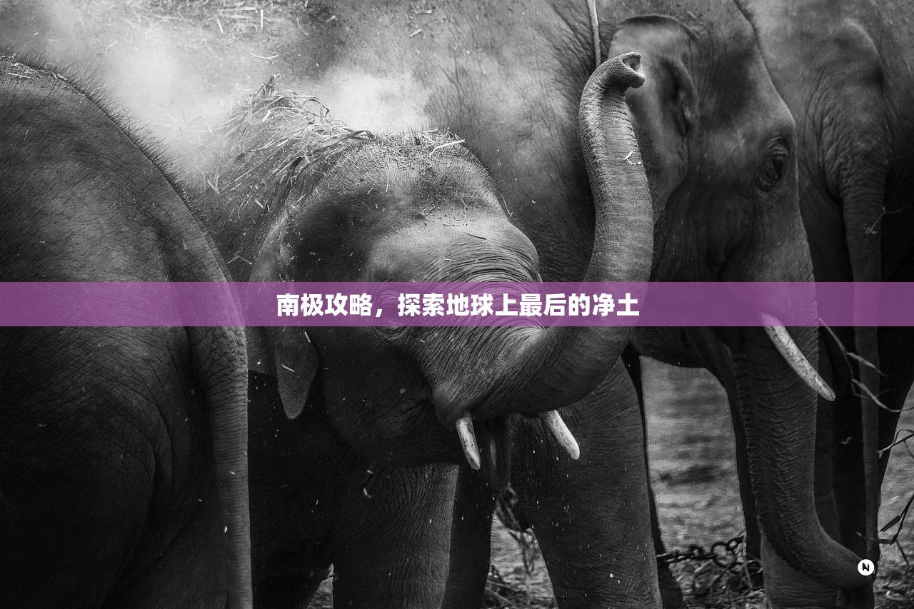南极攻略，探索地球上最后的净土