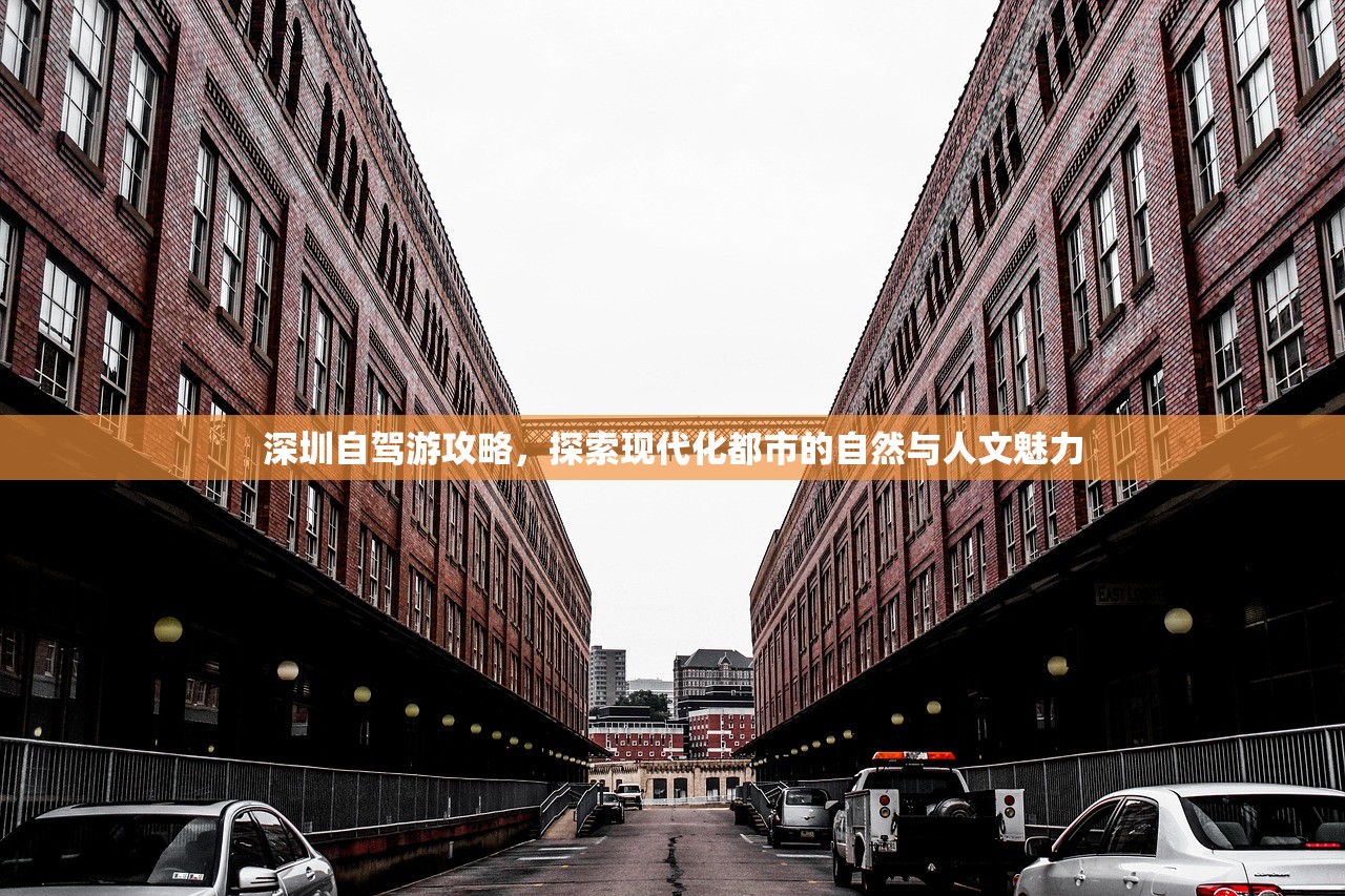 深圳自驾游攻略，探索现代化都市的自然与人文魅力