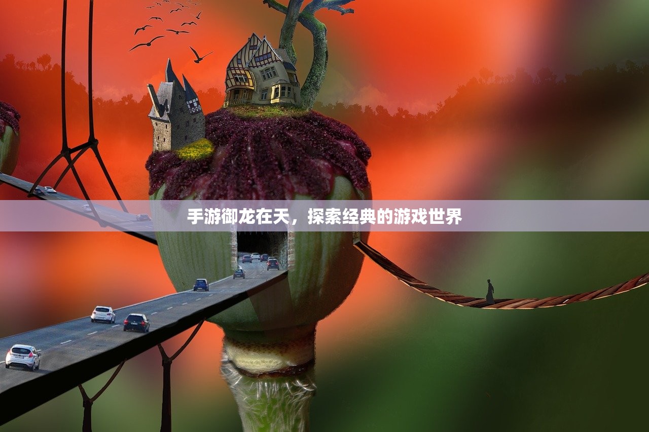手游御龙在天，探索经典的游戏世界
