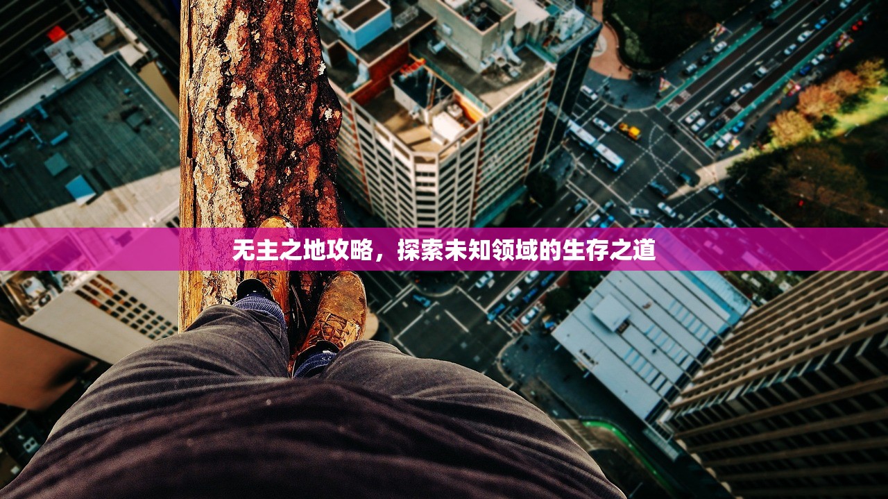 无主之地攻略，探索未知领域的生存之道