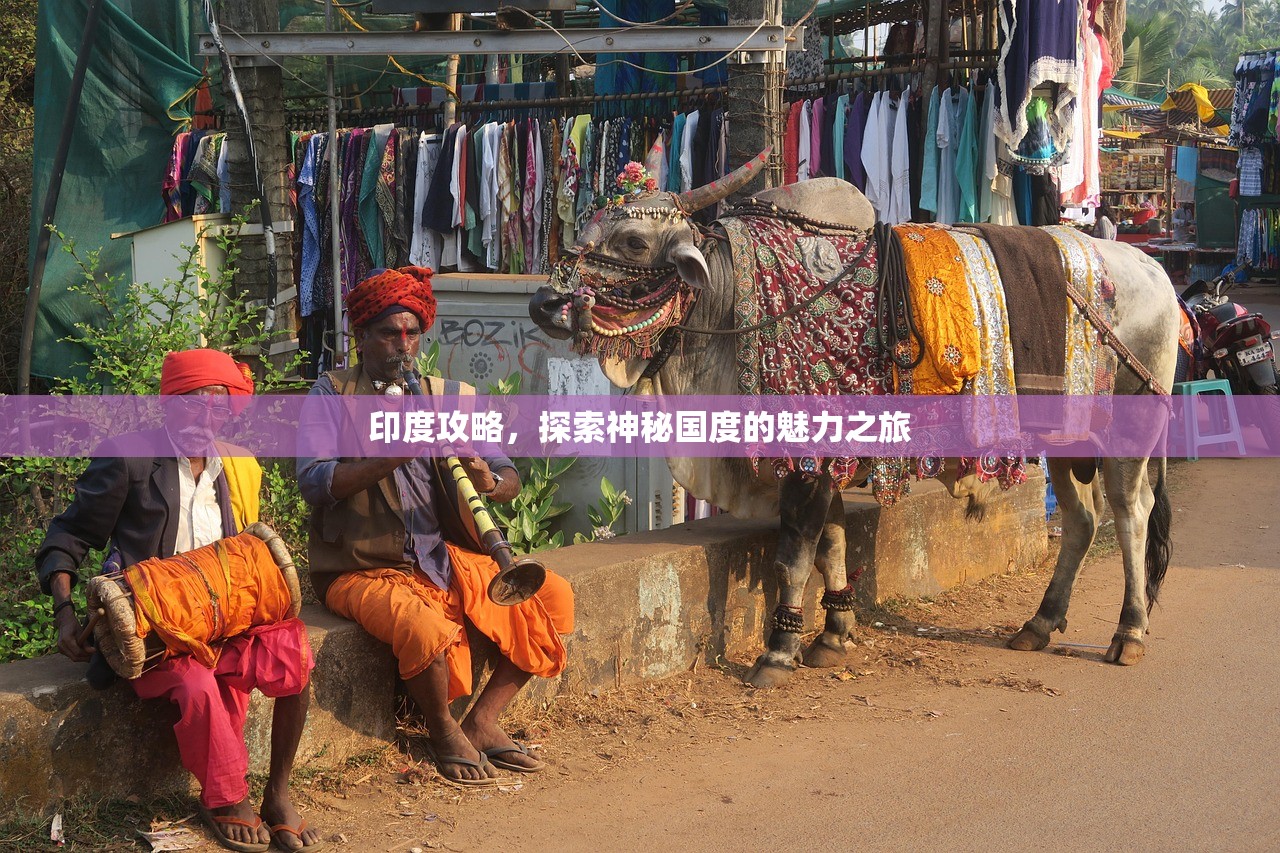 印度攻略，探索神秘国度的魅力之旅