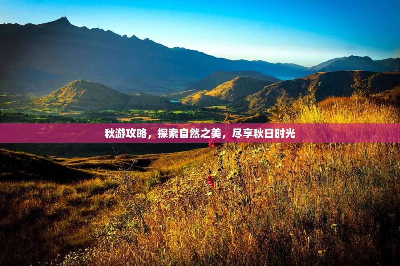 秋游攻略，探索自然之美，尽享秋日时光