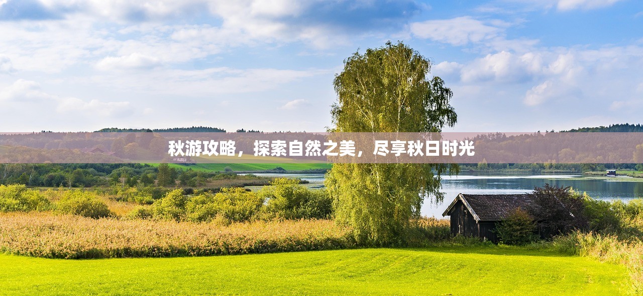 秋游攻略，探索自然之美，尽享秋日时光