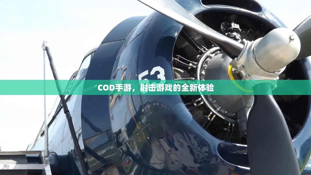 COD手游，射击游戏的全新体验