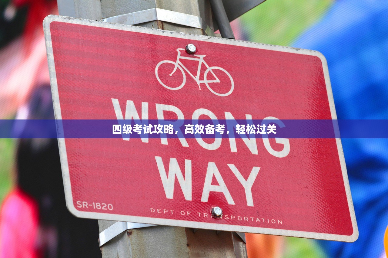 四级考试攻略，高效备考，轻松过关