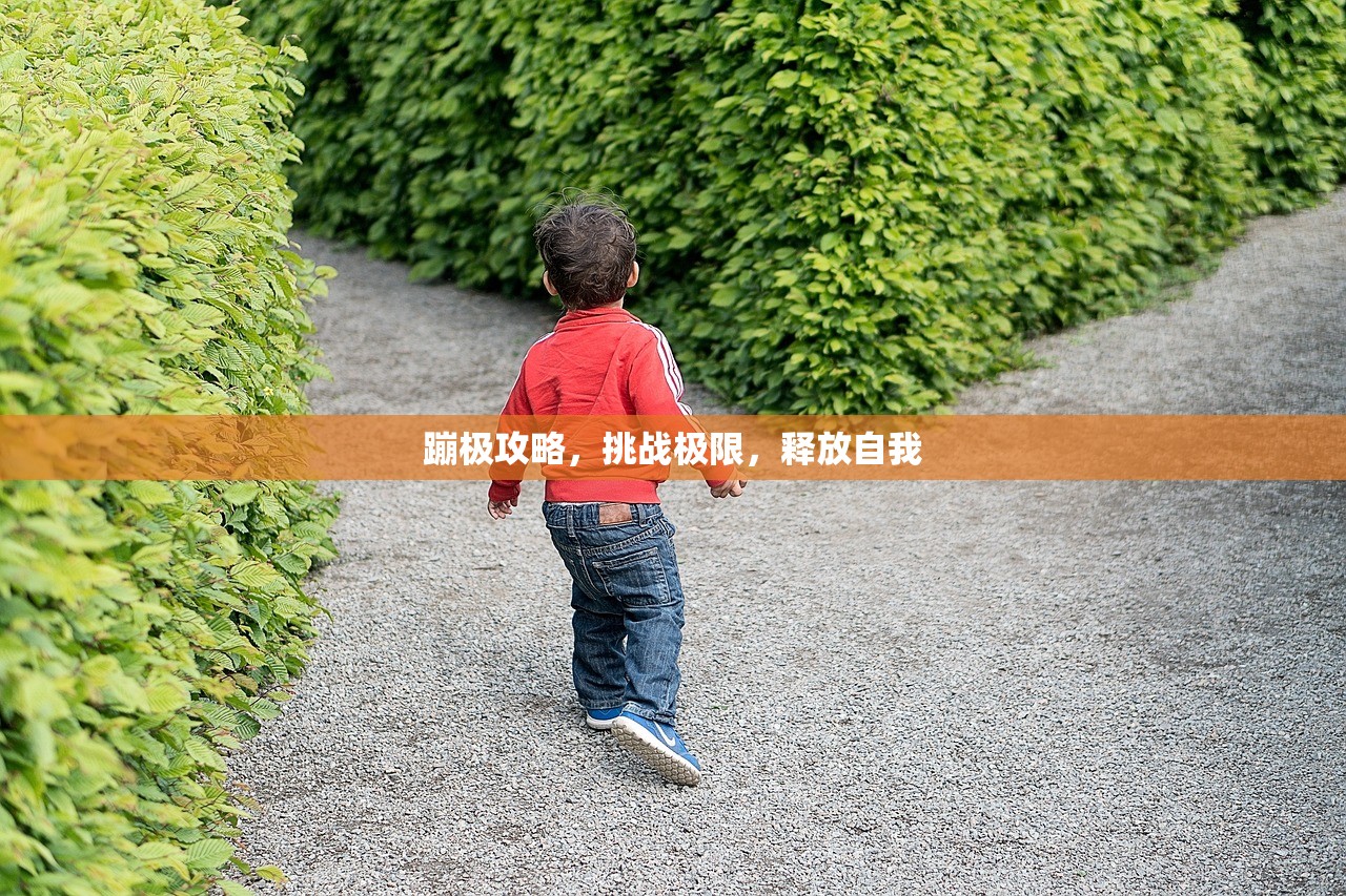 蹦极攻略，挑战极限，释放自我