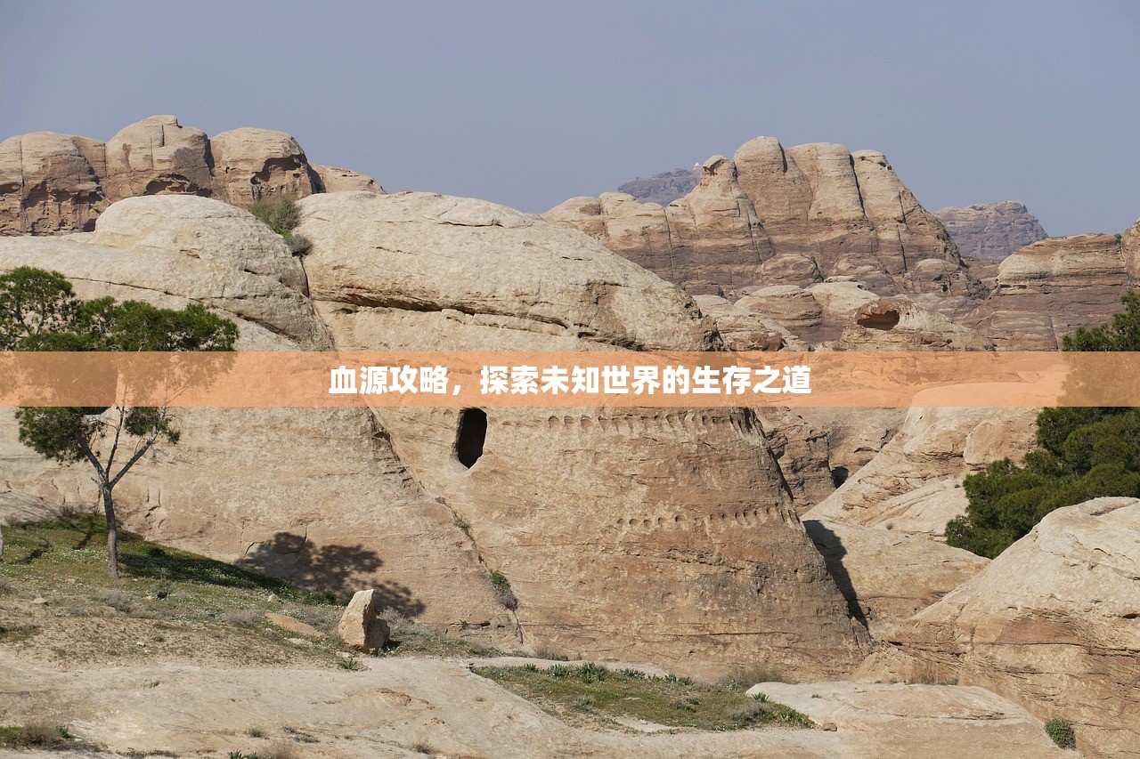 血源攻略，探索未知世界的生存之道
