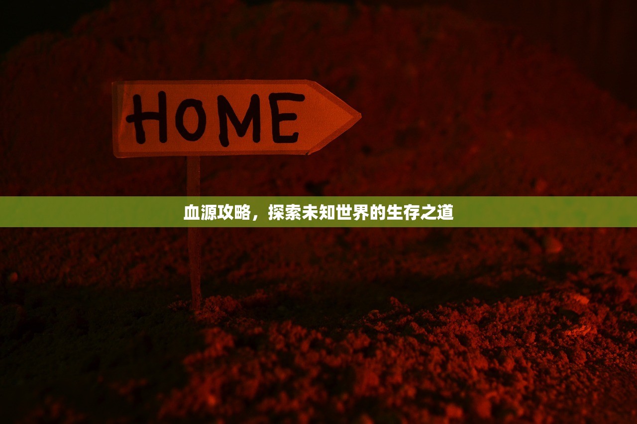 血源攻略，探索未知世界的生存之道