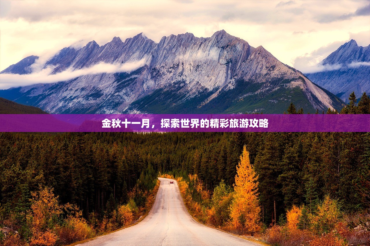 金秋十一月，探索世界的精彩旅游攻略