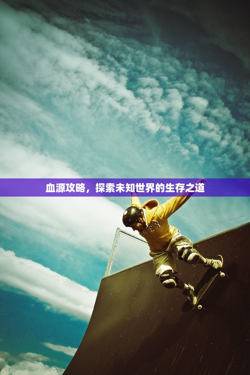 血源攻略，探索未知世界的生存之道