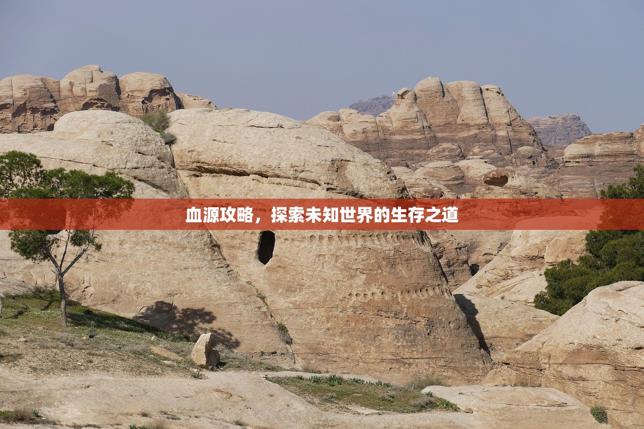 血源攻略，探索未知世界的生存之道