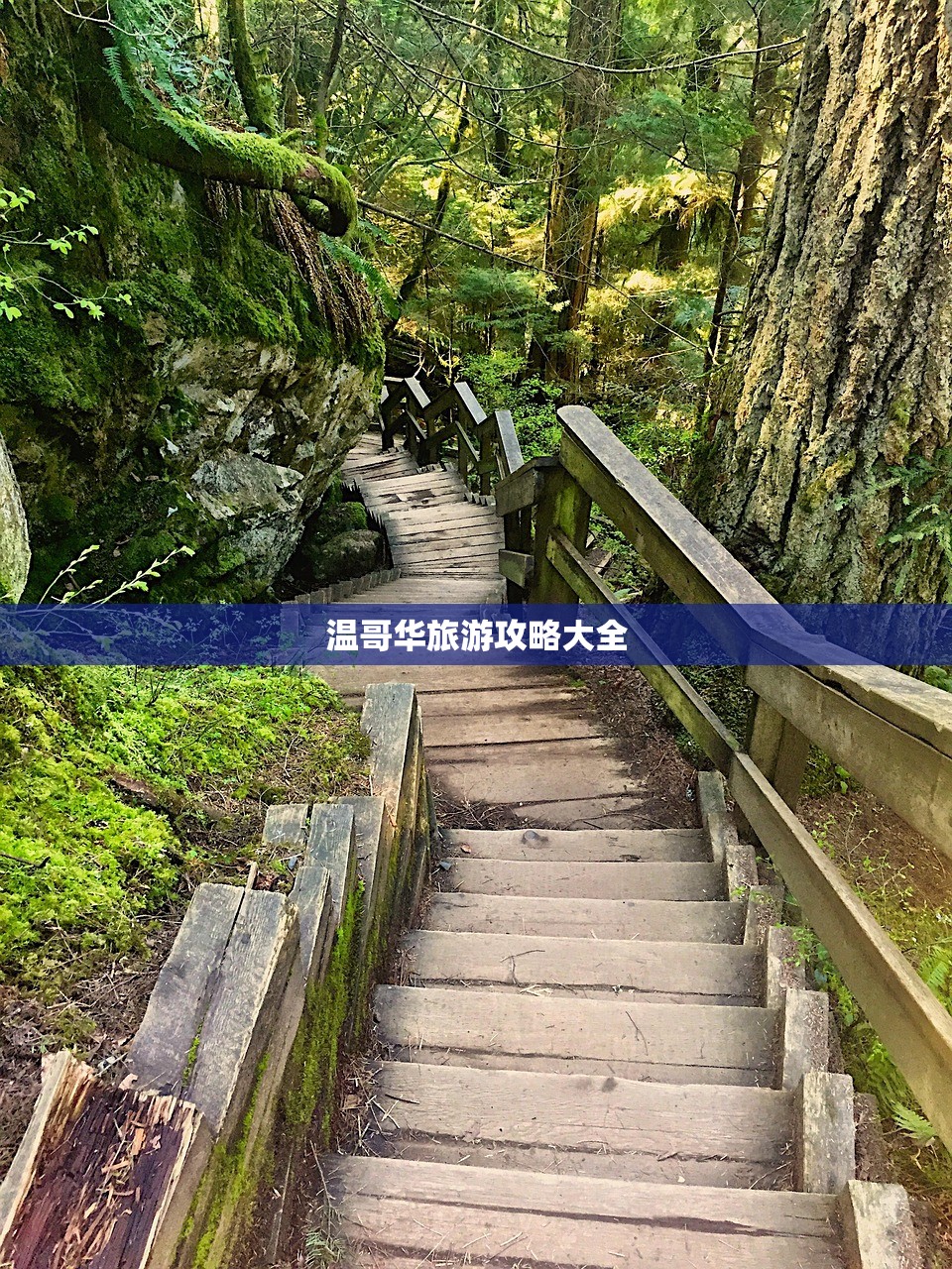 温哥华旅游攻略大全