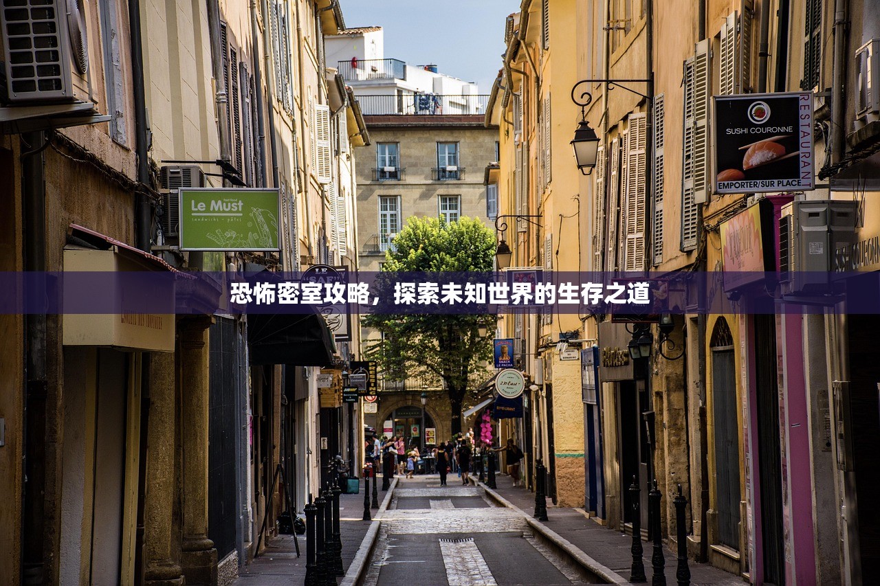 恐怖密室攻略，探索未知世界的生存之道
