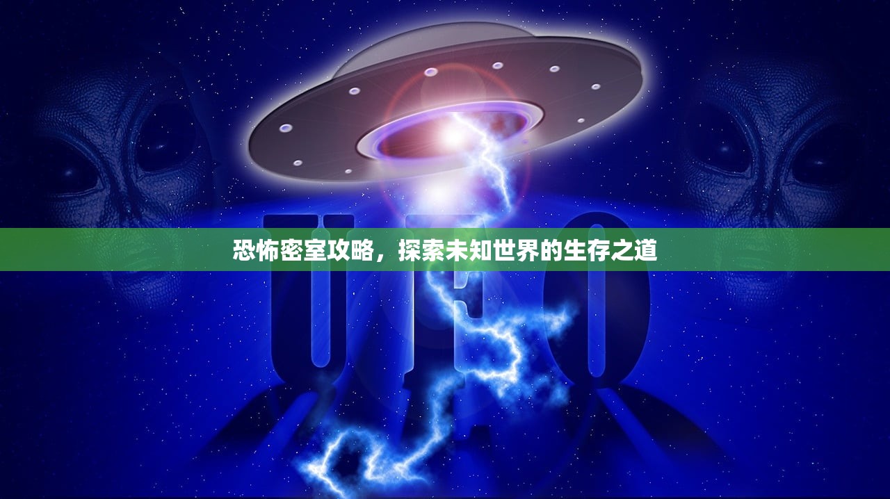 恐怖密室攻略，探索未知世界的生存之道