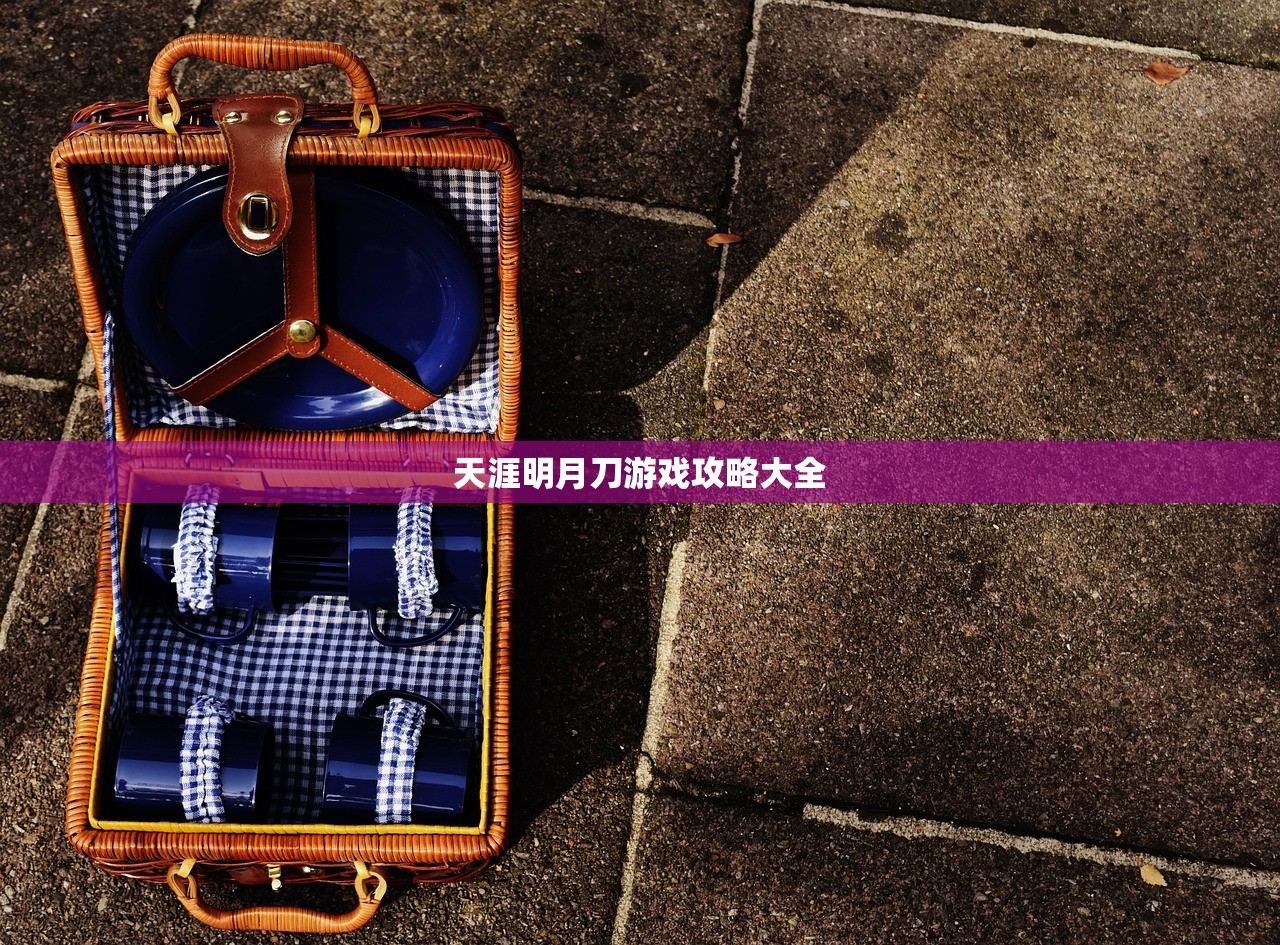 天涯明月刀游戏攻略大全