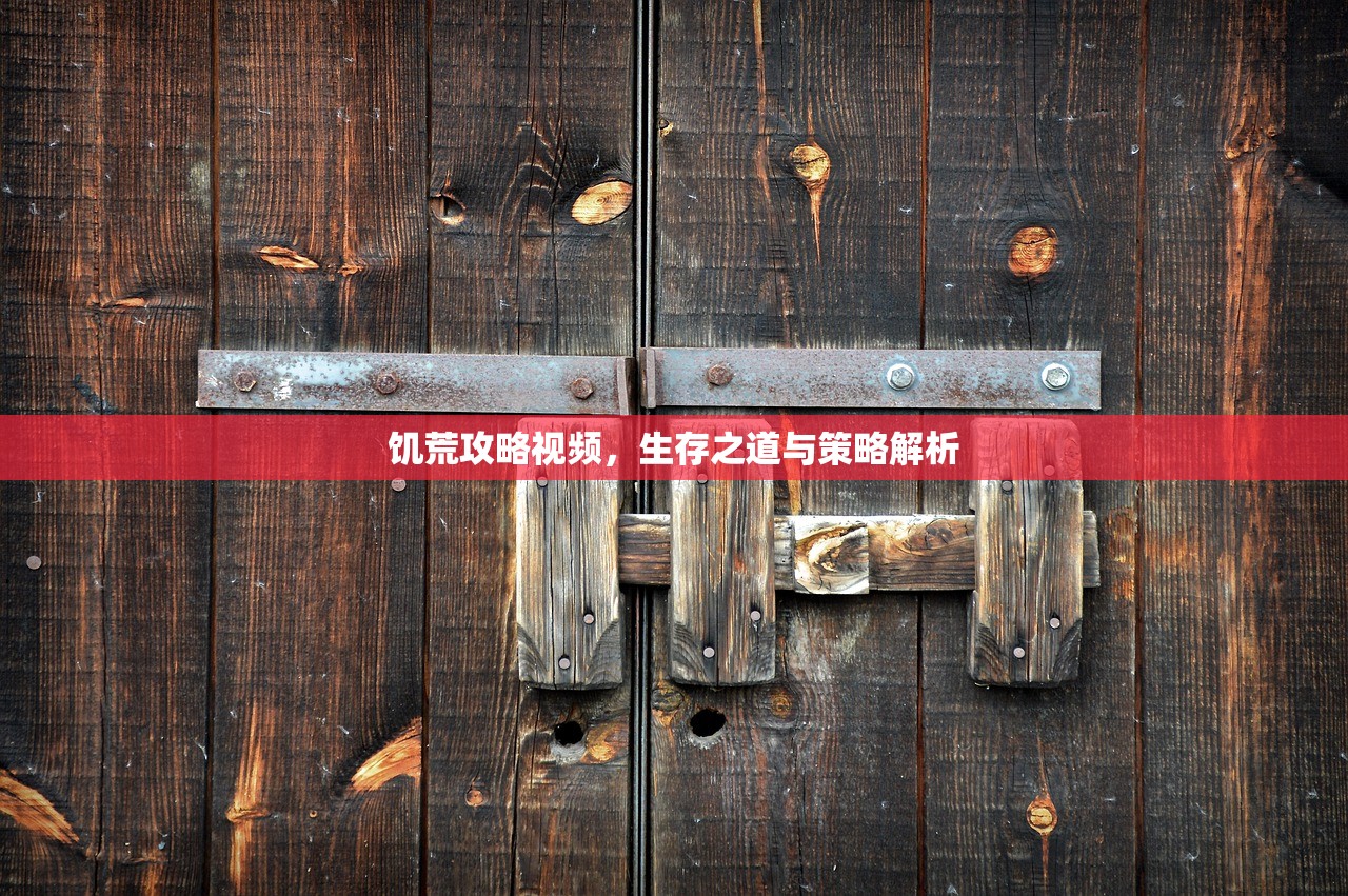 饥荒攻略视频，生存之道与策略解析