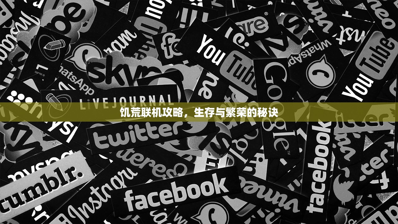 饥荒联机攻略，生存与繁荣的秘诀