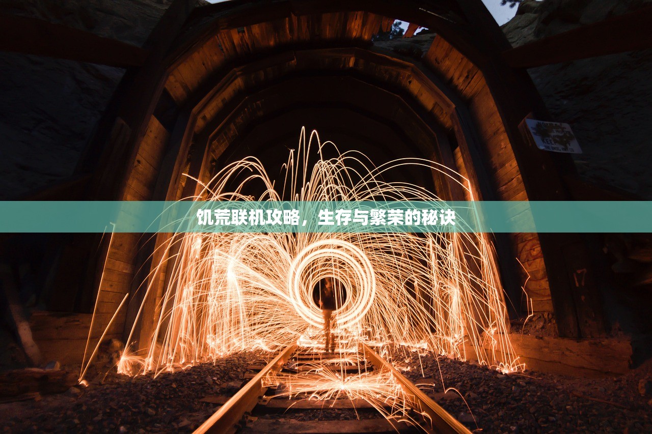 饥荒联机攻略，生存与繁荣的秘诀