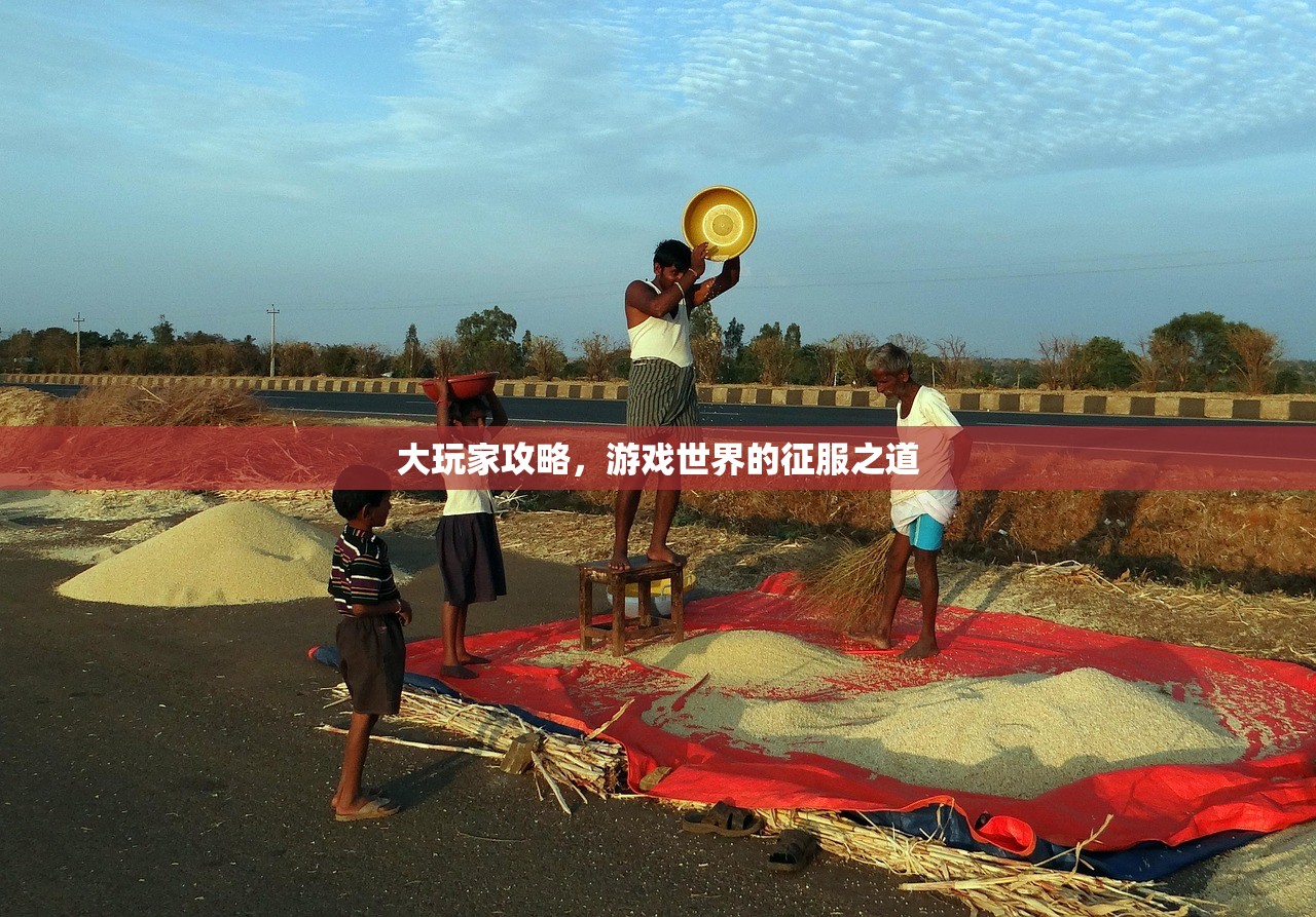 大玩家攻略，游戏世界的征服之道