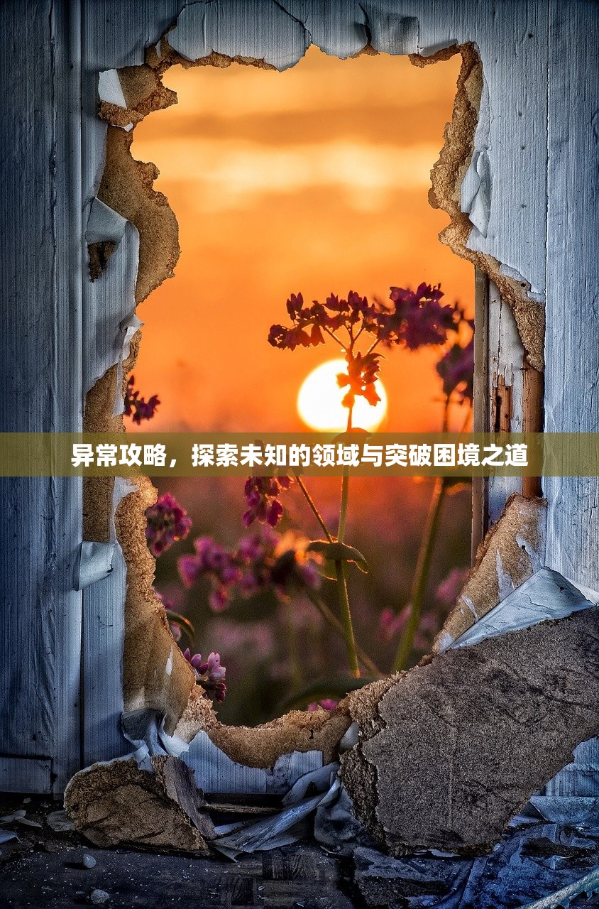 异常攻略，探索未知的领域与突破困境之道