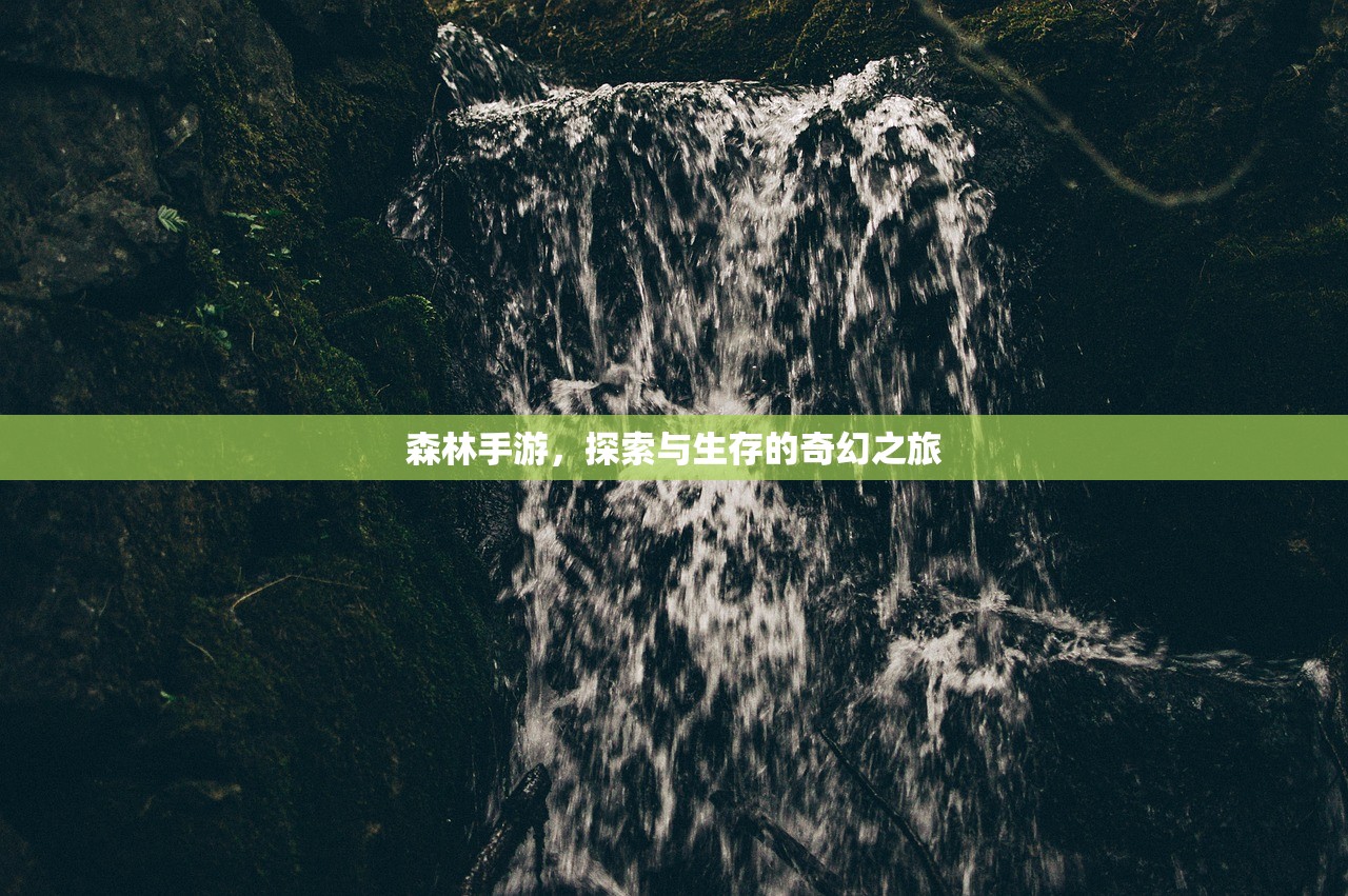森林手游，探索与生存的奇幻之旅