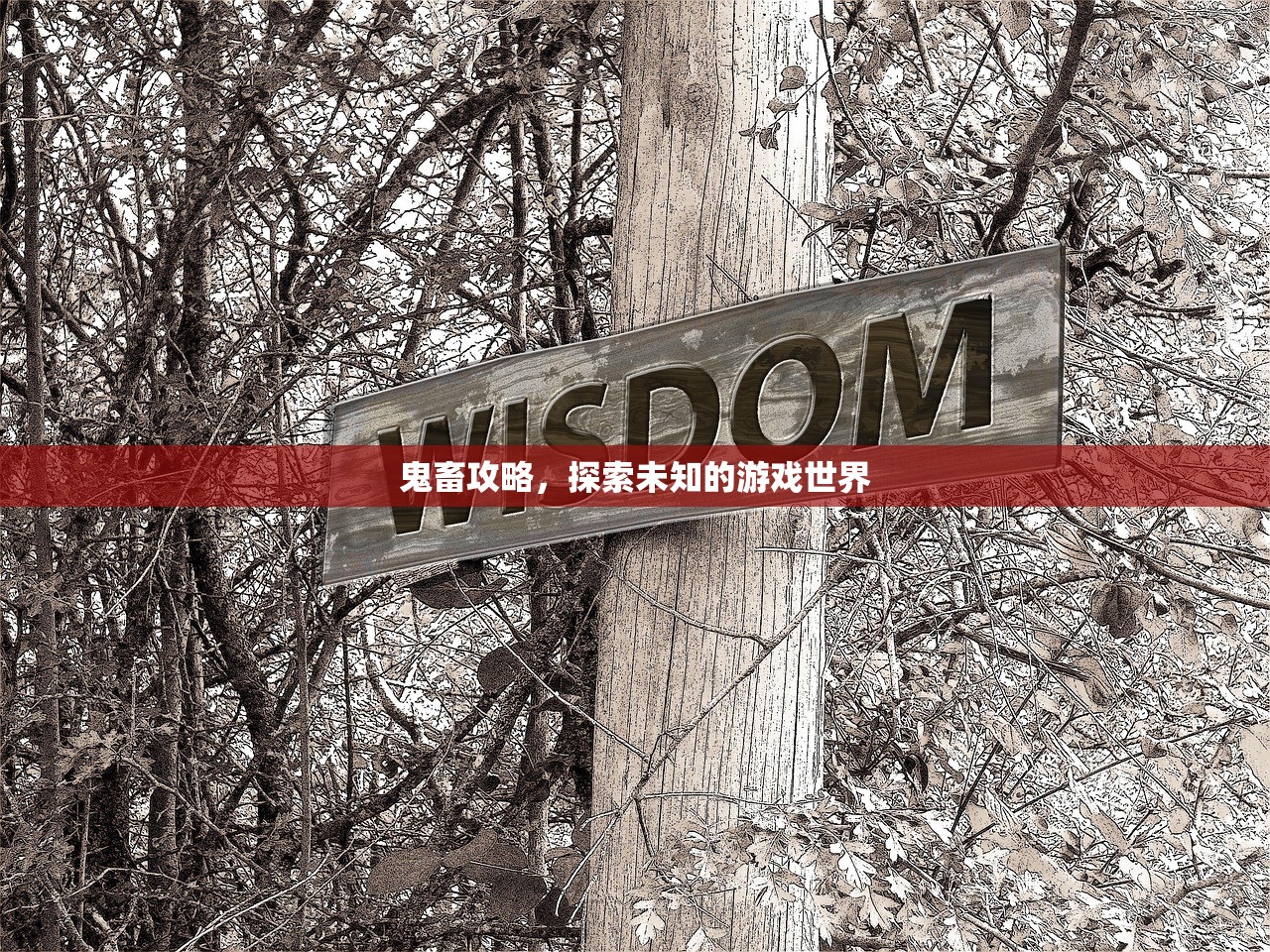 鬼畜攻略，探索未知的游戏世界