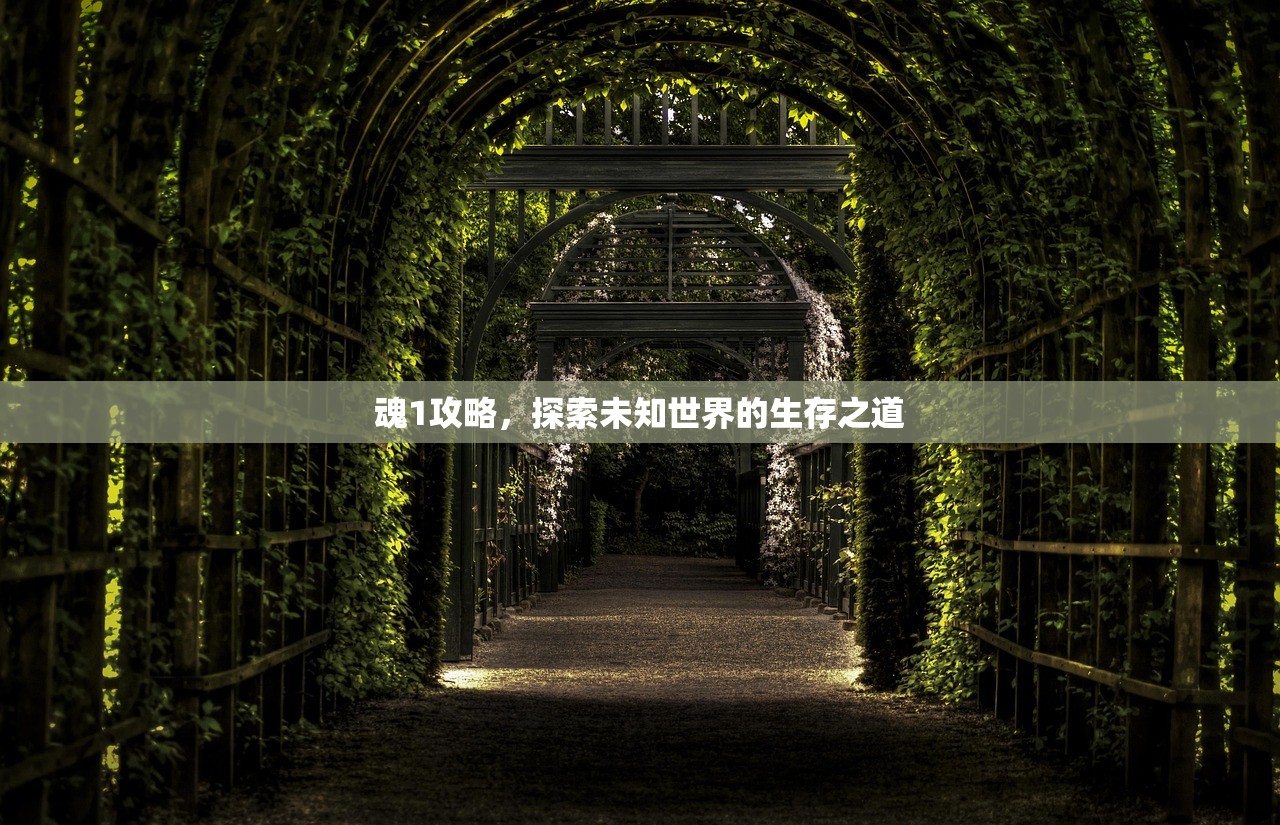 魂1攻略，探索未知世界的生存之道