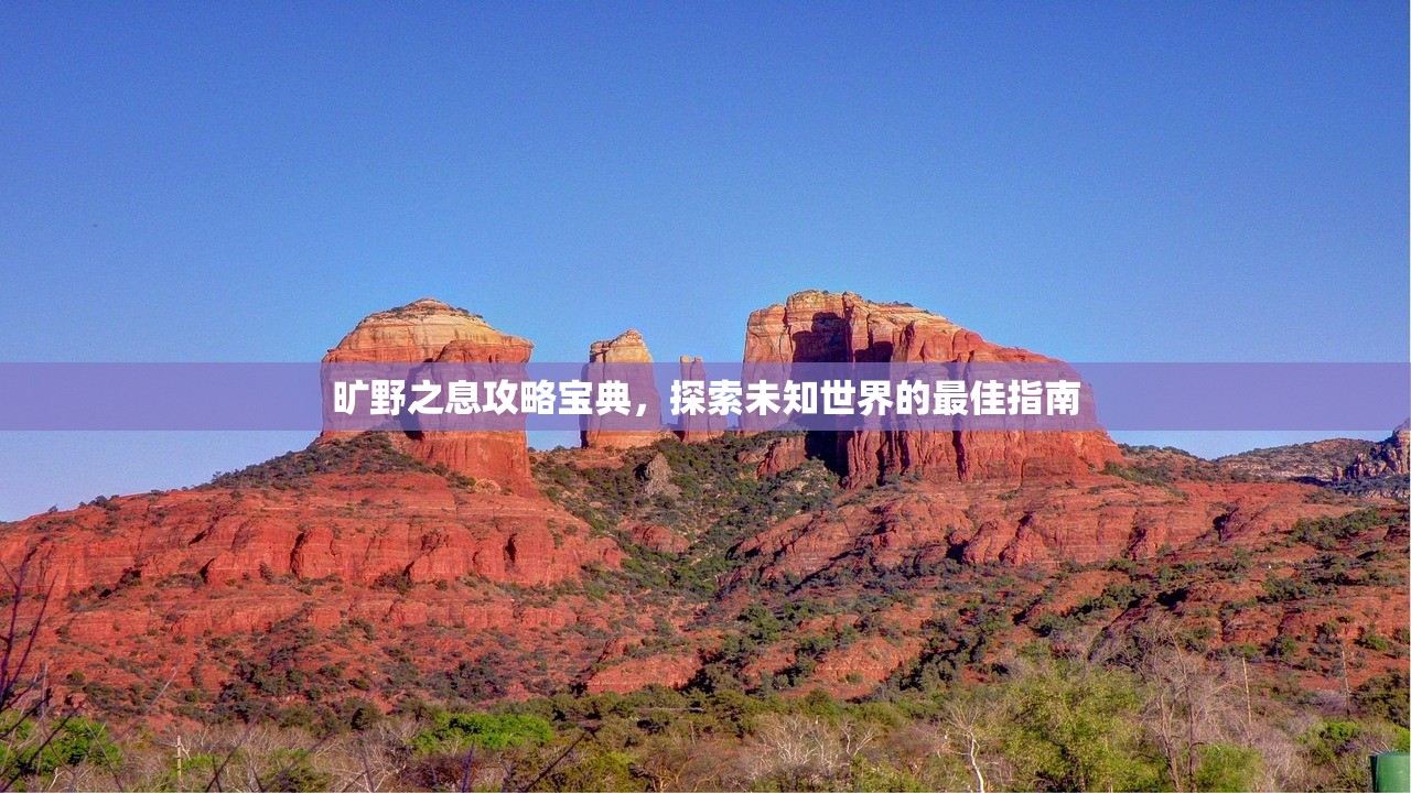 旷野之息攻略宝典，探索未知世界的最佳指南