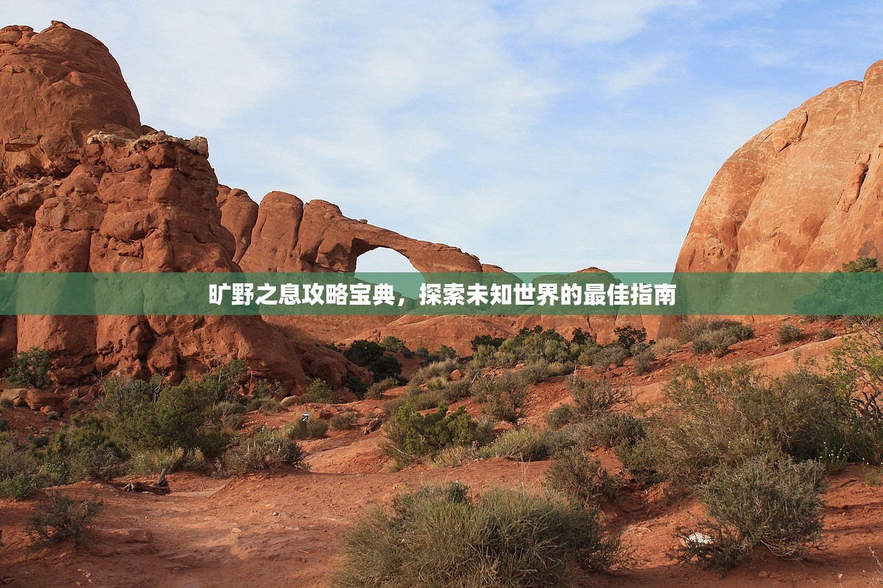 旷野之息攻略宝典，探索未知世界的最佳指南
