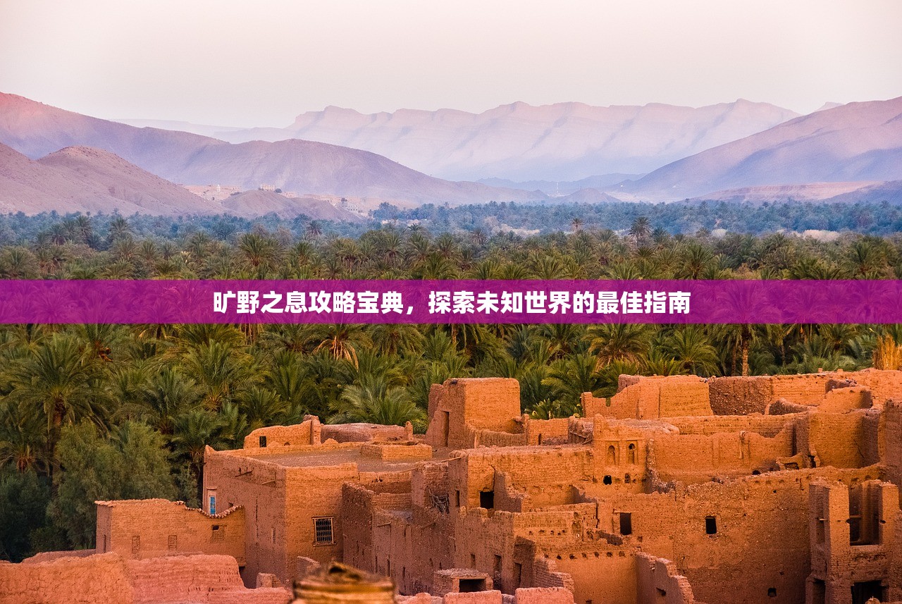 旷野之息攻略宝典，探索未知世界的最佳指南