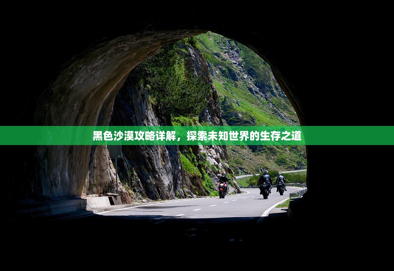 黑色沙漠攻略详解，探索未知世界的生存之道