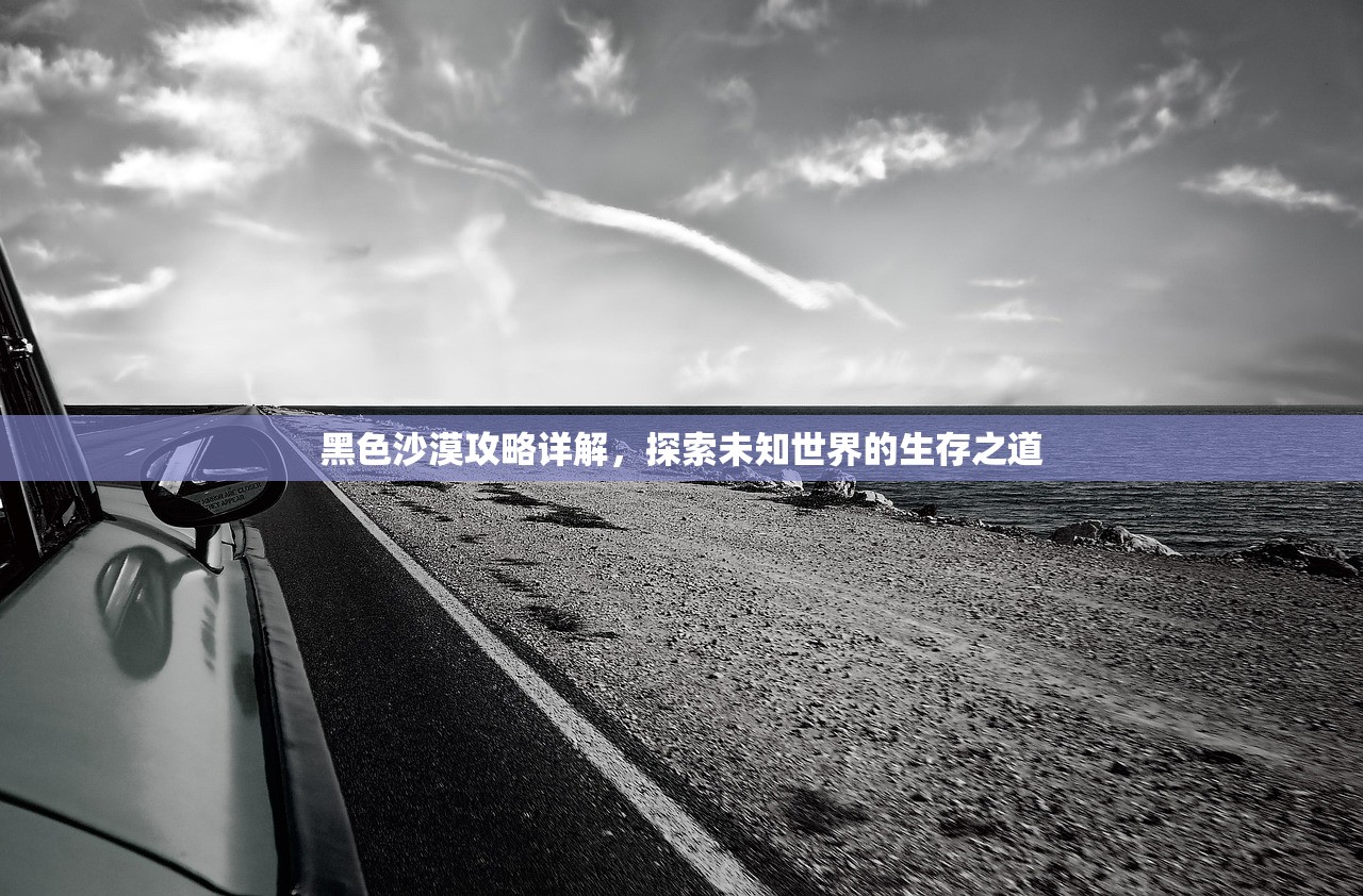 黑色沙漠攻略详解，探索未知世界的生存之道