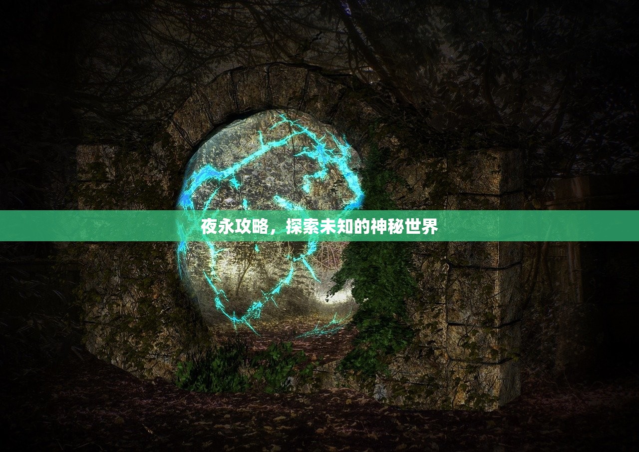 夜永攻略，探索未知的神秘世界