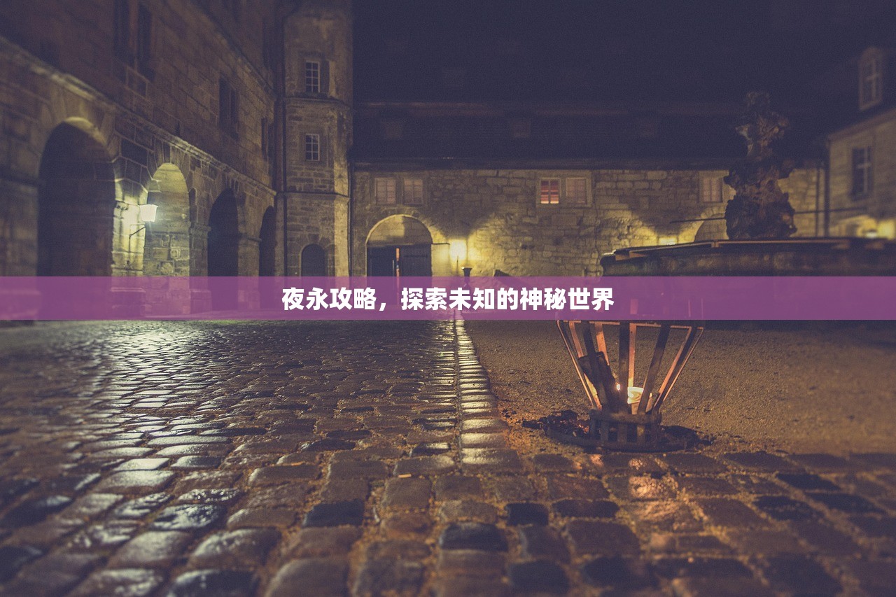 夜永攻略，探索未知的神秘世界