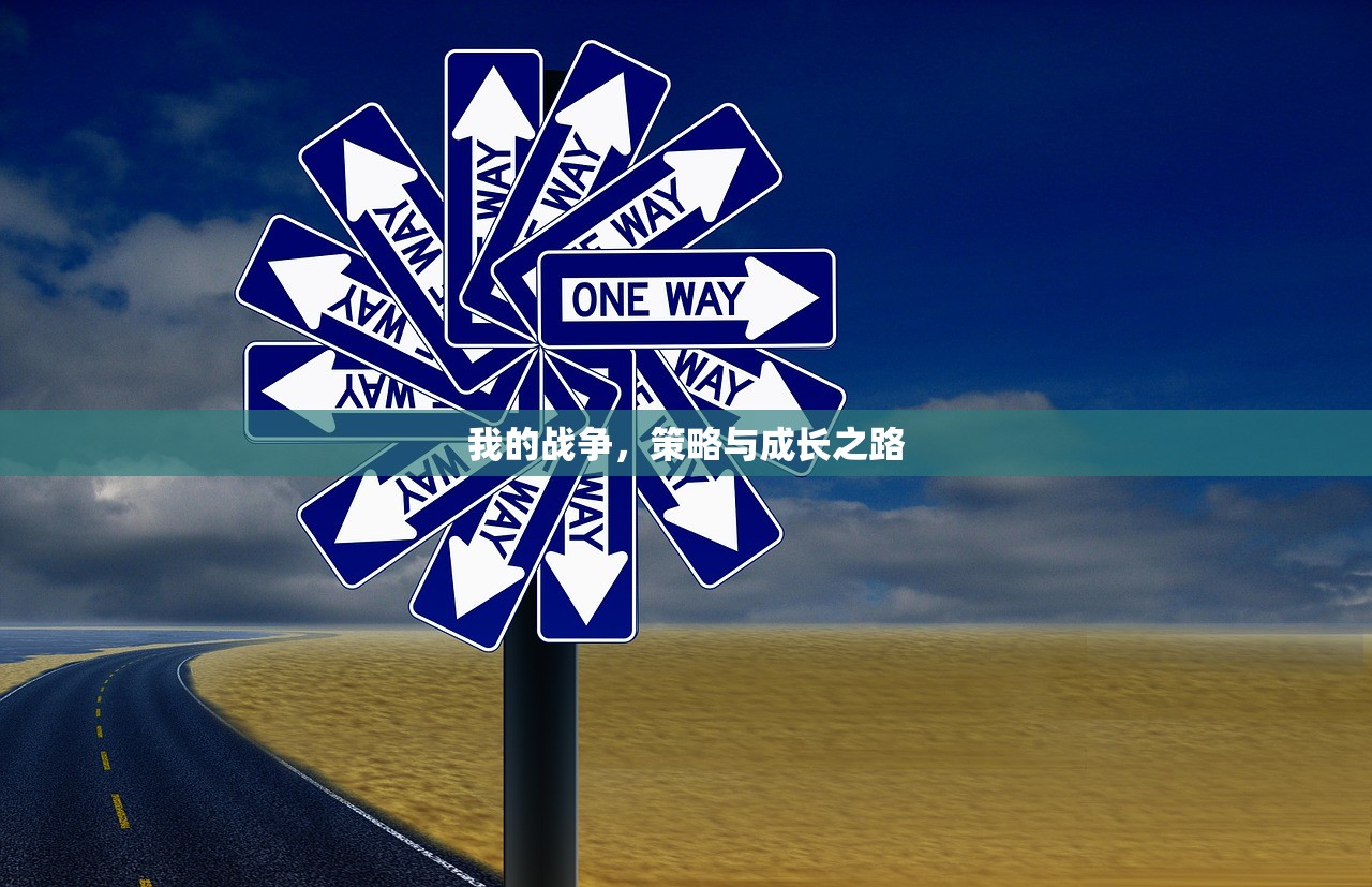 我的战争，策略与成长之路