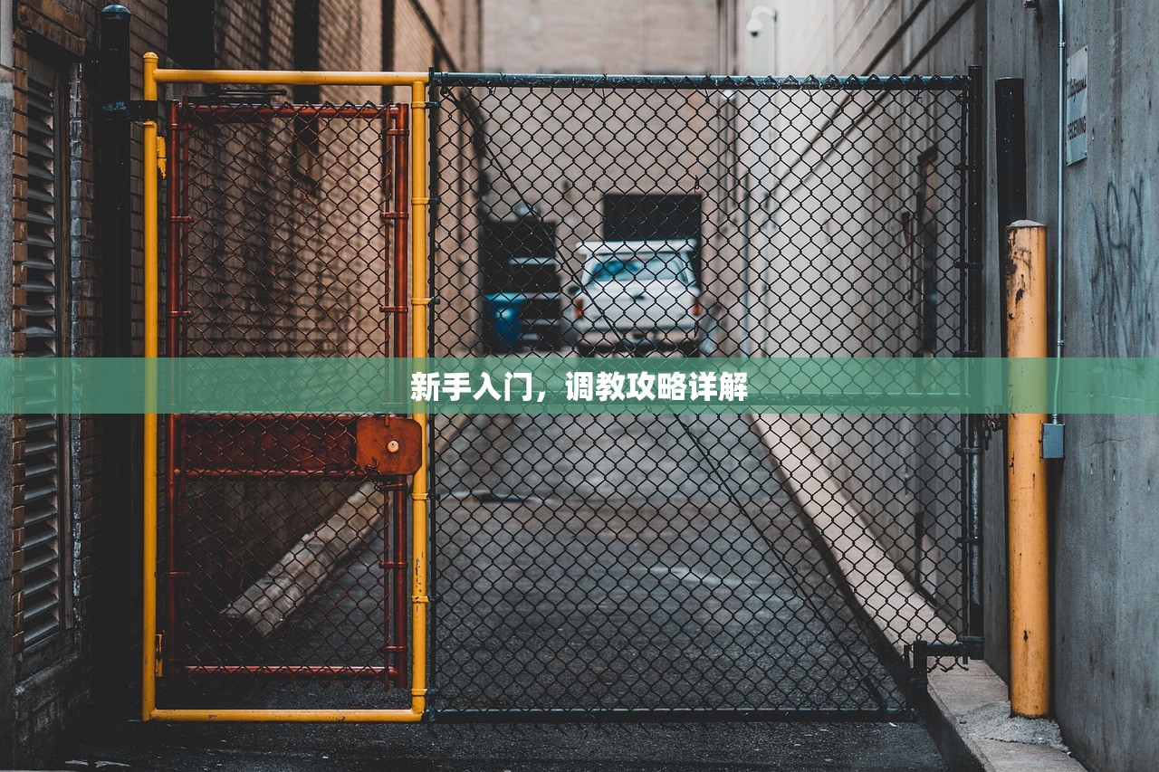 新手入门，调教攻略详解