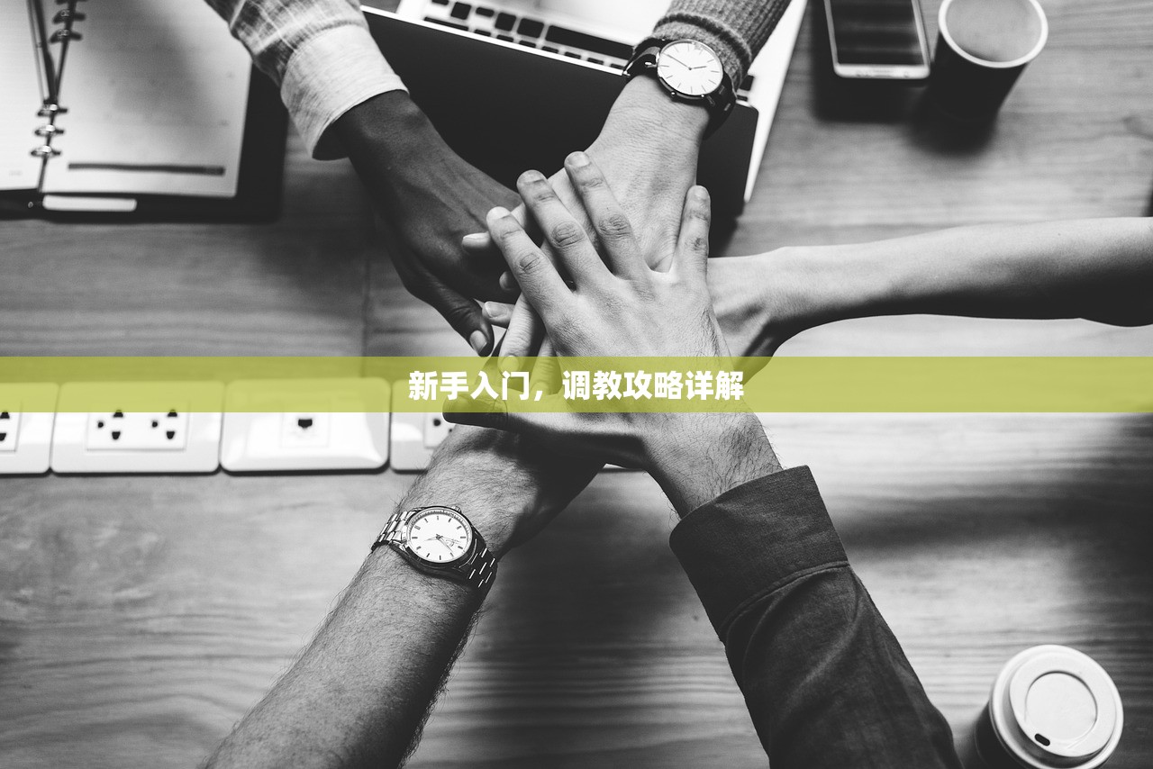 新手入门，调教攻略详解
