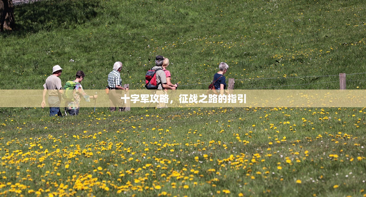十字军攻略，征战之路的指引