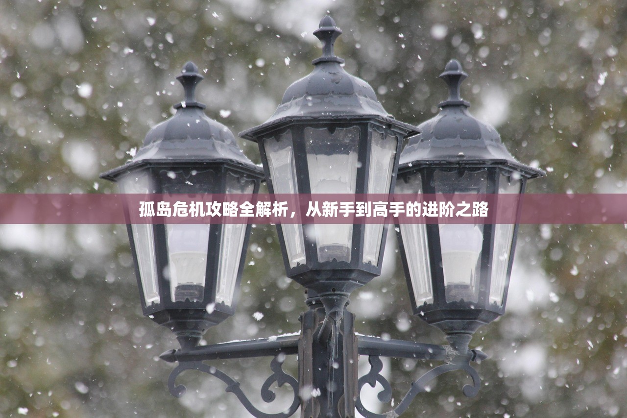 孤岛危机攻略全解析，从新手到高手的进阶之路