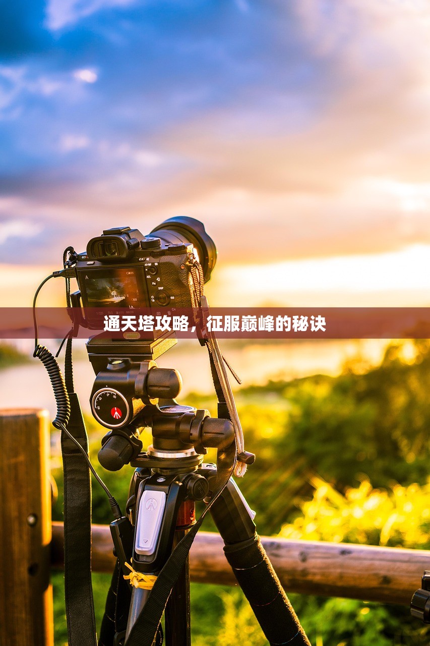 通天塔攻略，征服巅峰的秘诀