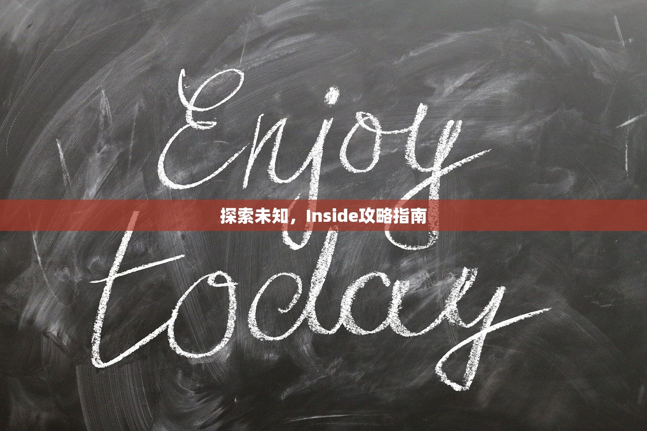 探索未知，Inside攻略指南
