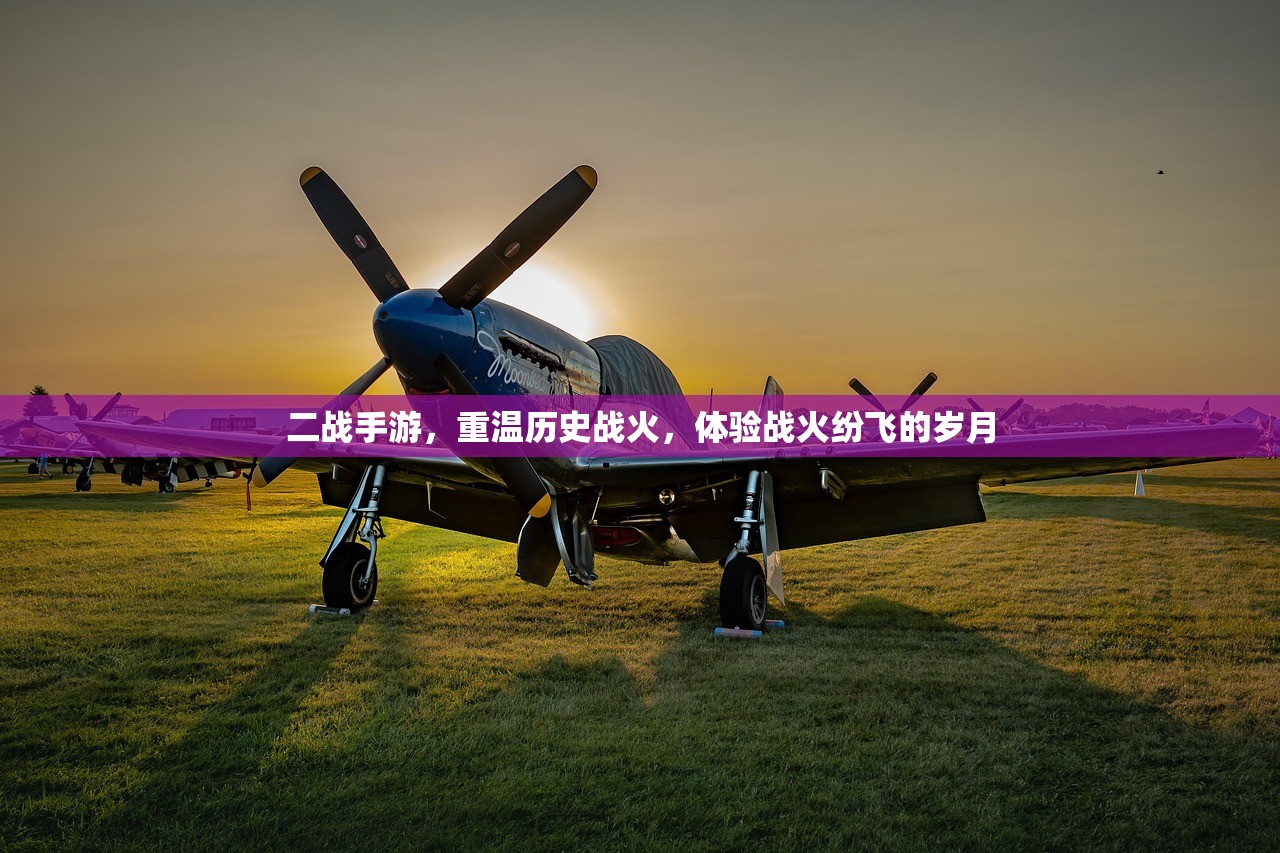 二战手游，重温历史战火，体验战火纷飞的岁月