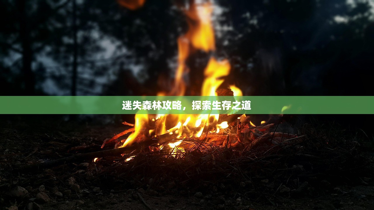 迷失森林攻略，探索生存之道