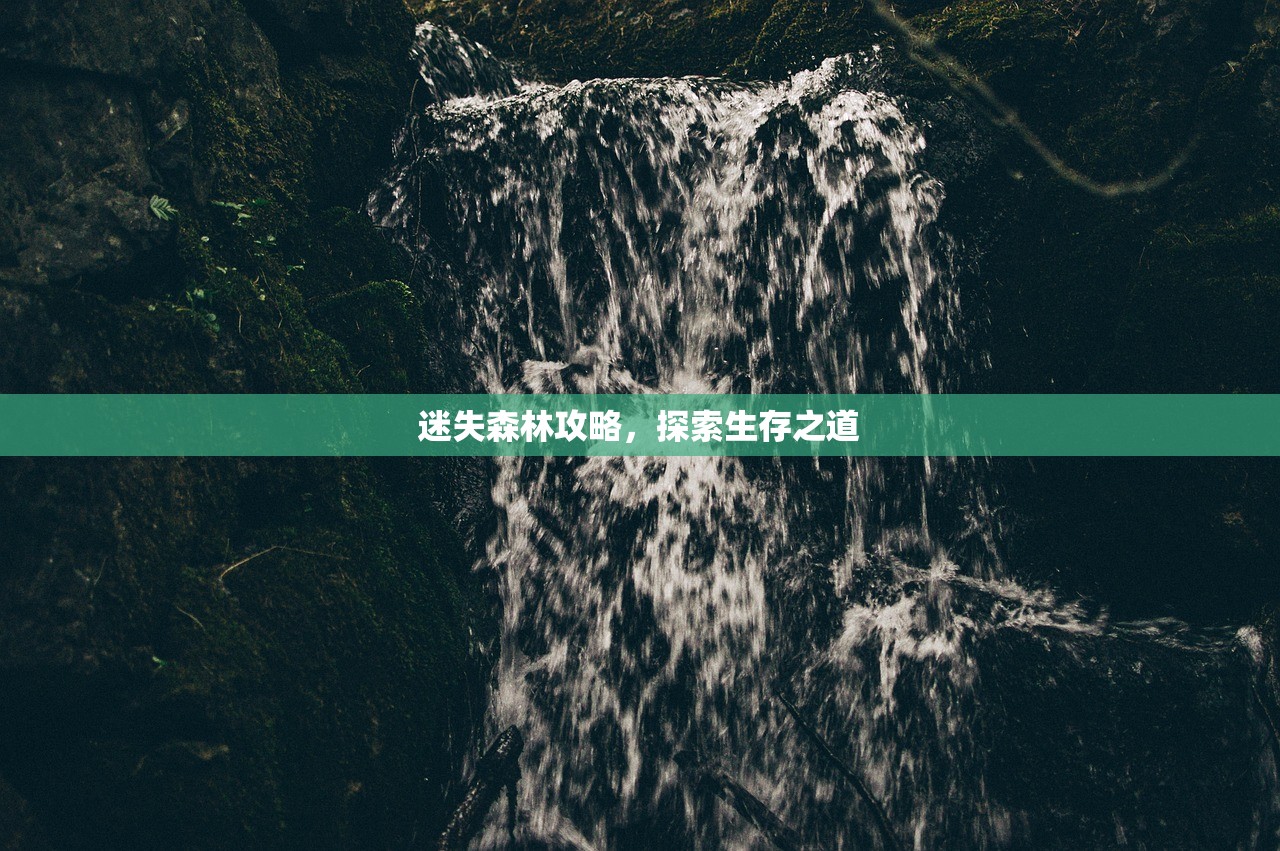 迷失森林攻略，探索生存之道