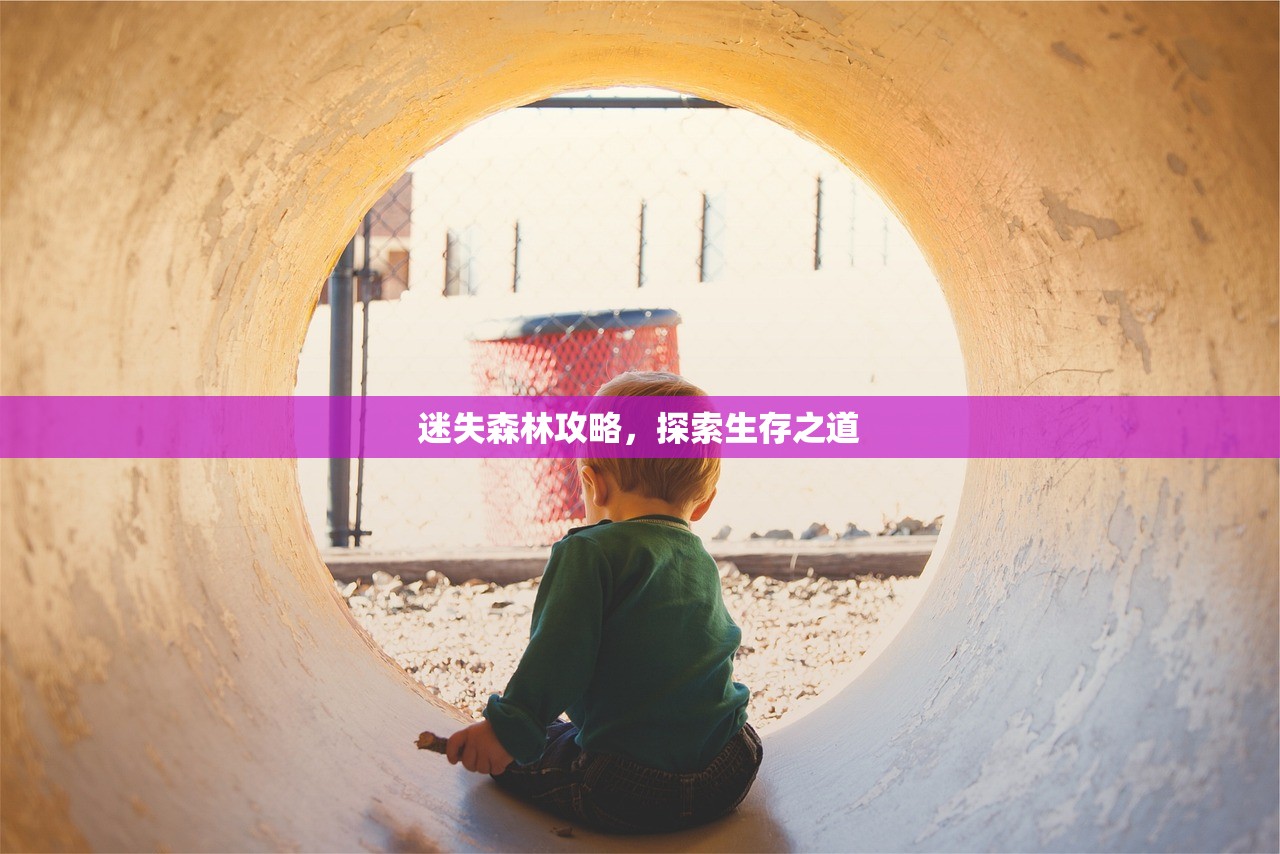 迷失森林攻略，探索生存之道