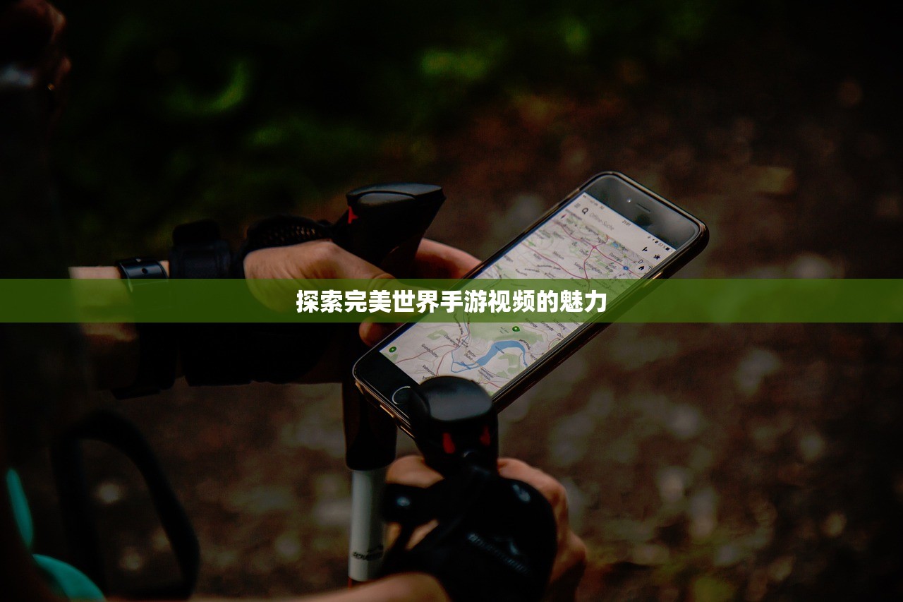 探索完美世界手游视频的魅力